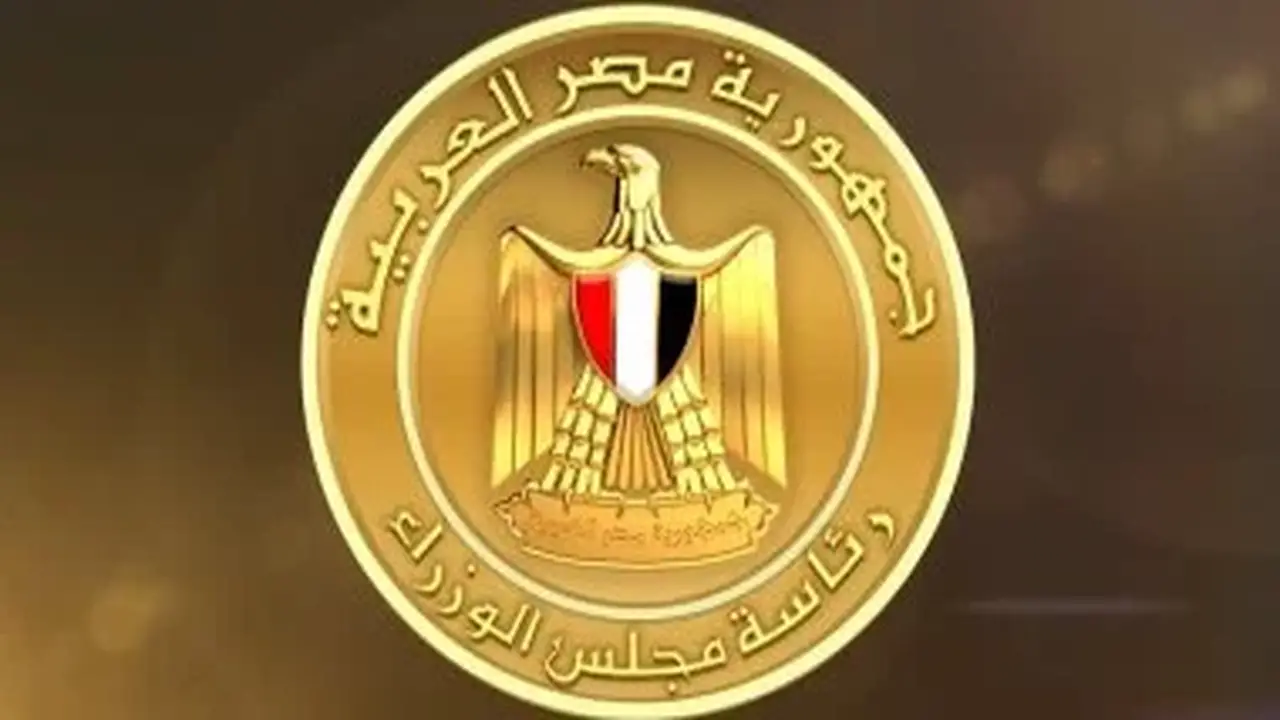 الحكومة تؤكد: ميناء دمياط يعمل بكفاءة واستمرار التحقيقات في حادث السفينتين