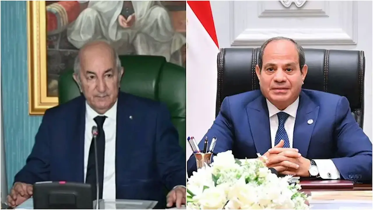 الرئيس السيسي يعزي نظيره الجزائري هاتفيًا في ضحايا الحرائق