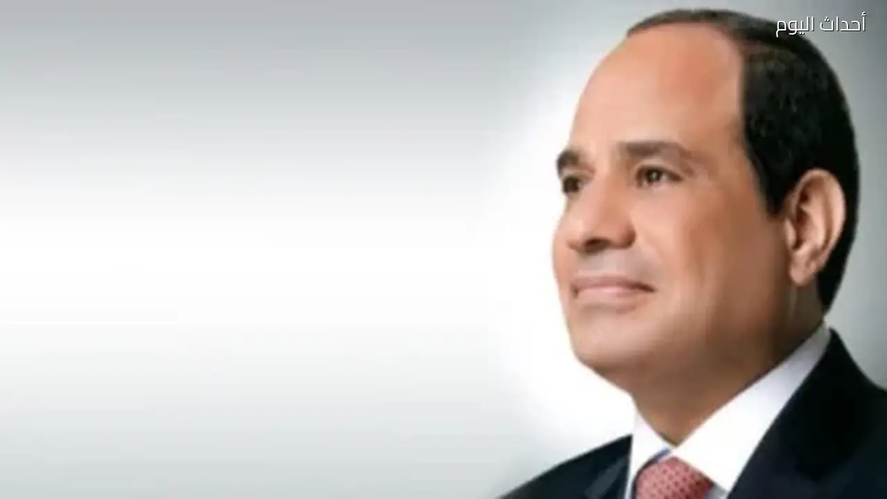 الرئيس السيسي يوافق على منحة شهرية للعاملين لضمان حد أدنى للدخل 8 آلاف جنيه