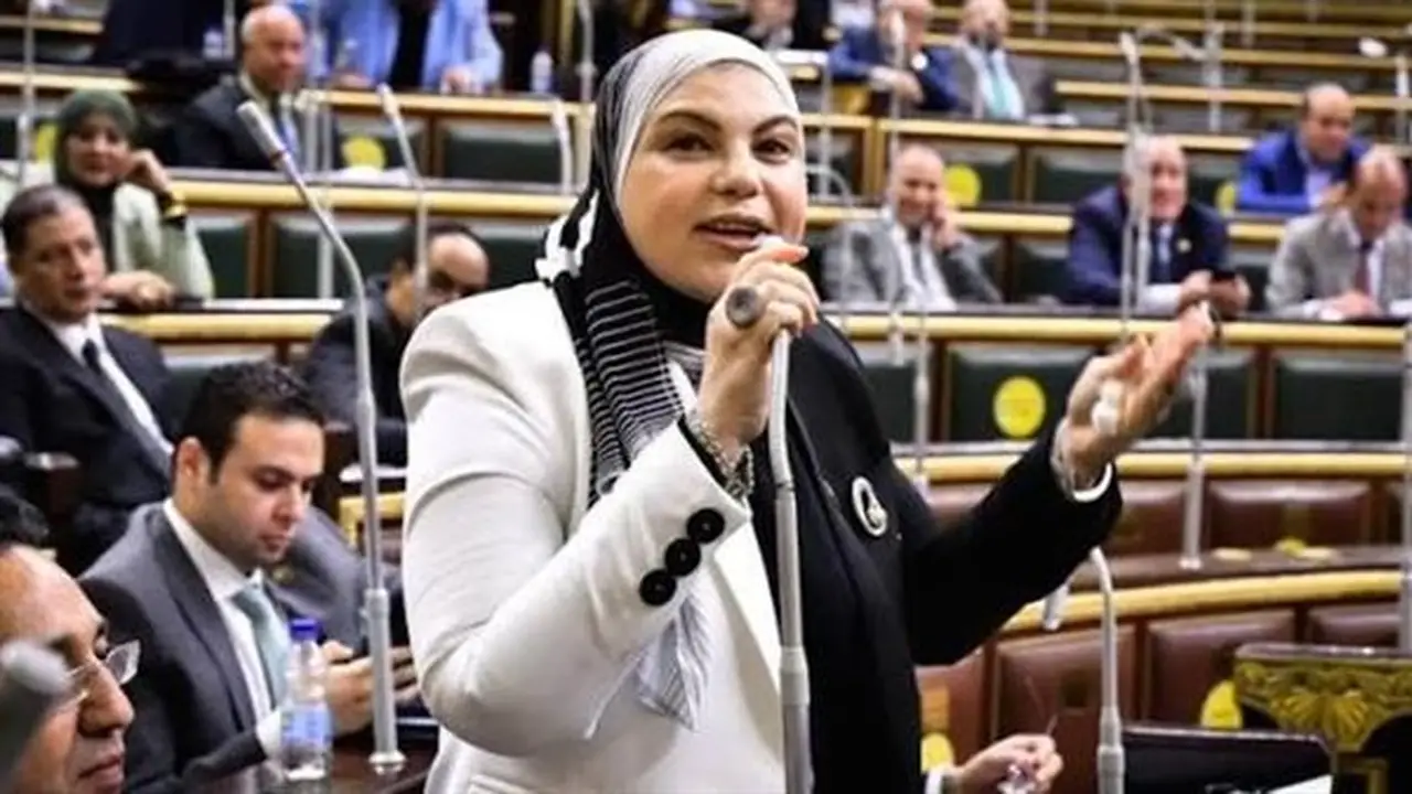النائبة شيرين رضا: إنشاء جامعة كيان الخاصة التابعة للقوات المسلحة يُعتبر استثمارًا مهمًا