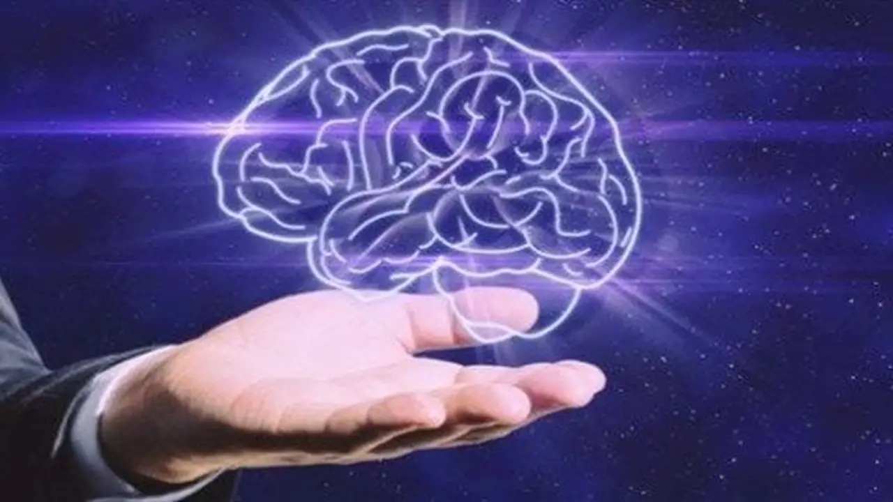 أطعمة بسيطة تعزز صحة الدماغ وتحسن المزاج، وفقاً لخبراء التغذية
