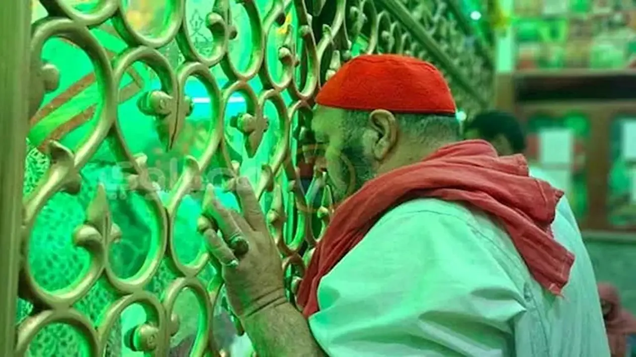 حلقات ذكر وإنشاد ديني تزين ختام مولد “سلطان الصعيد” في أسيوط (صور)