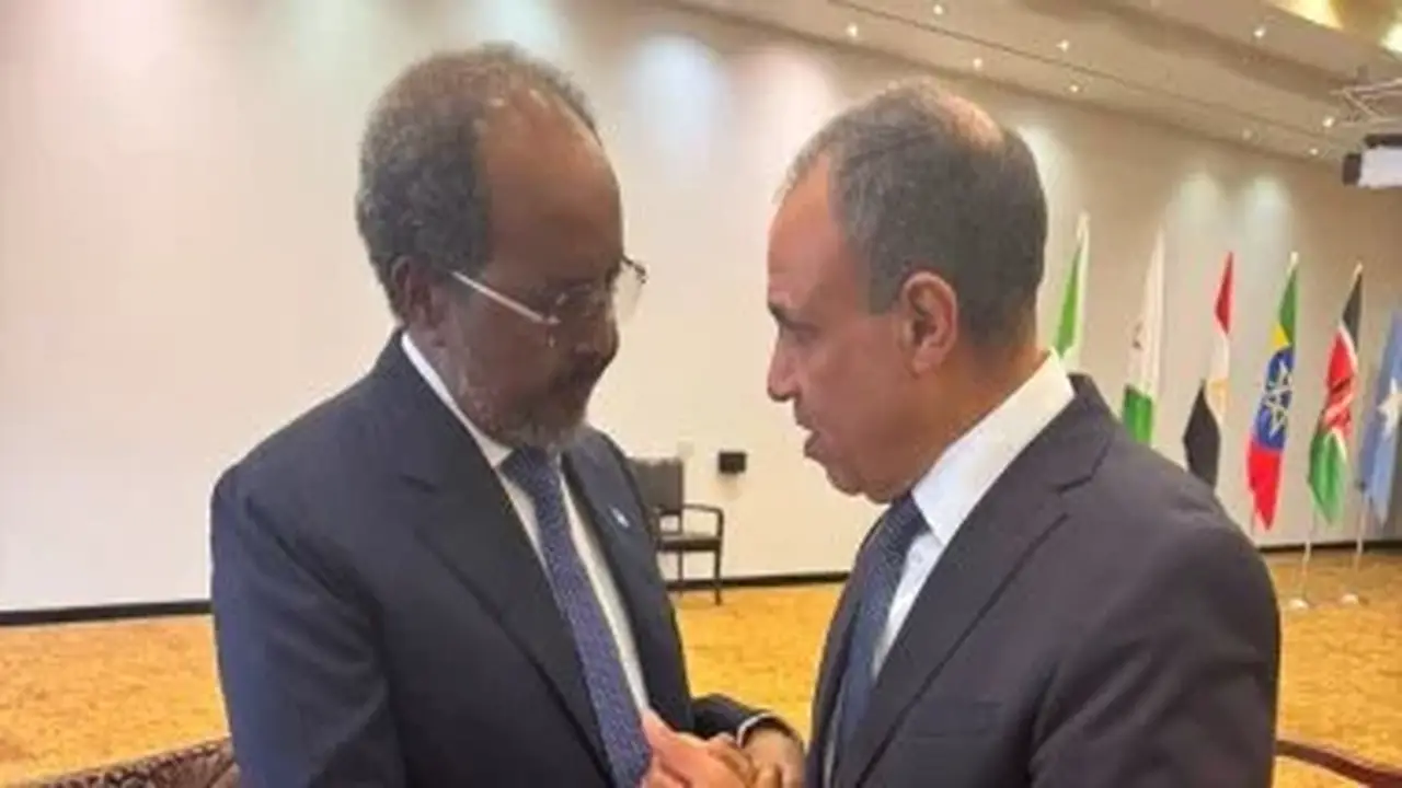 وزير الخارجية المصري يؤكد دعم مصر الكامل لسيادة الصومال خلال لقائه بالرئيس حسن شيخ محمود