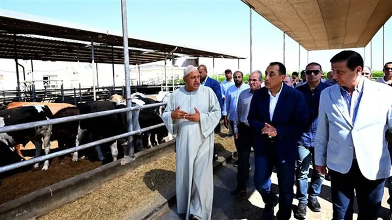 رئيس الوزراء يزور مزرعة العمار لتعزيز الثروة الحيوانية