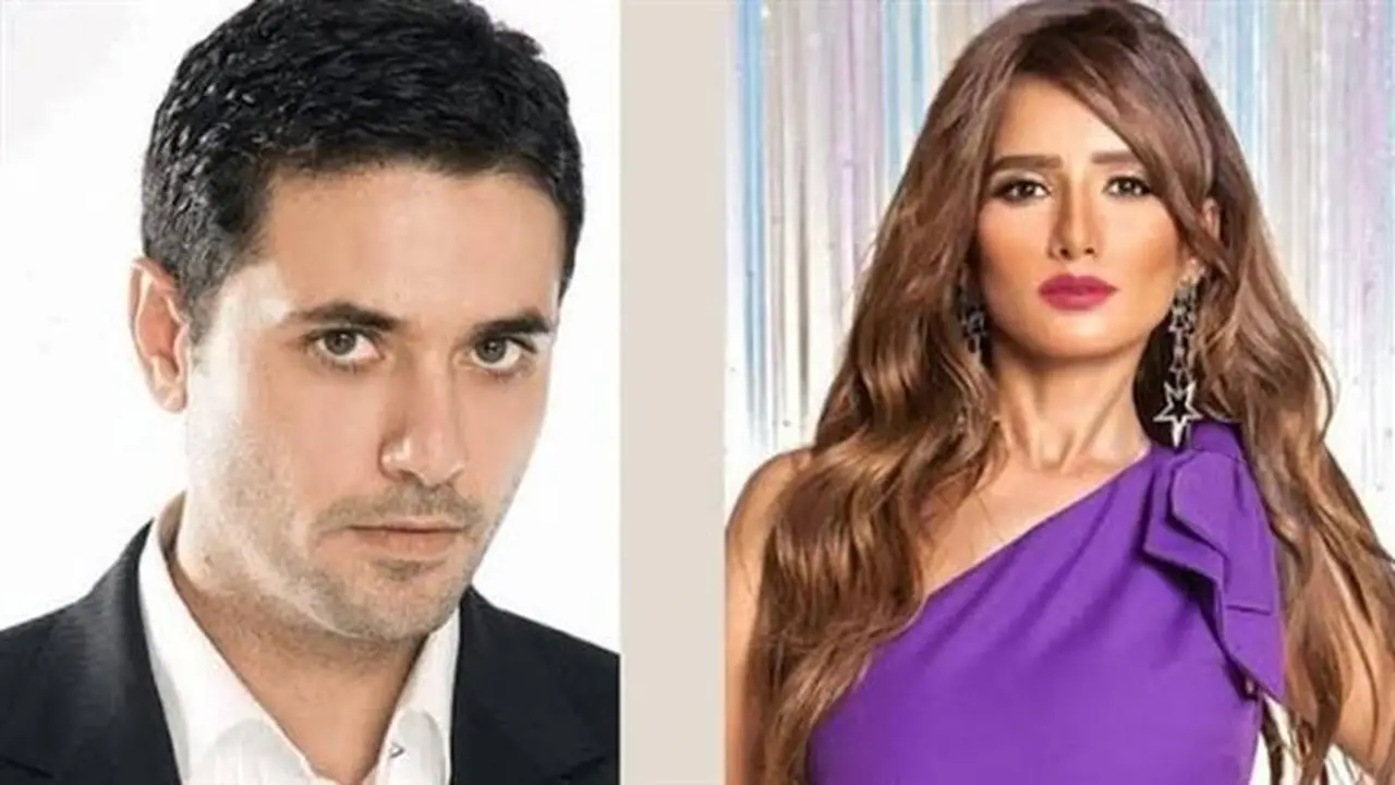 تحديد جلسة 16 أغسطس للفصل في دعوى زينة ضد أحمد عز بعد سداد 570 ألف جنيه