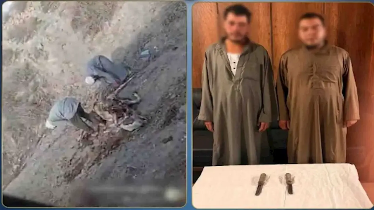 الأمن يكشف تفاصيل فيديو سلخ حمار في البحيرة: اعتقال المتهمين وصناعة الطبول من الجلد