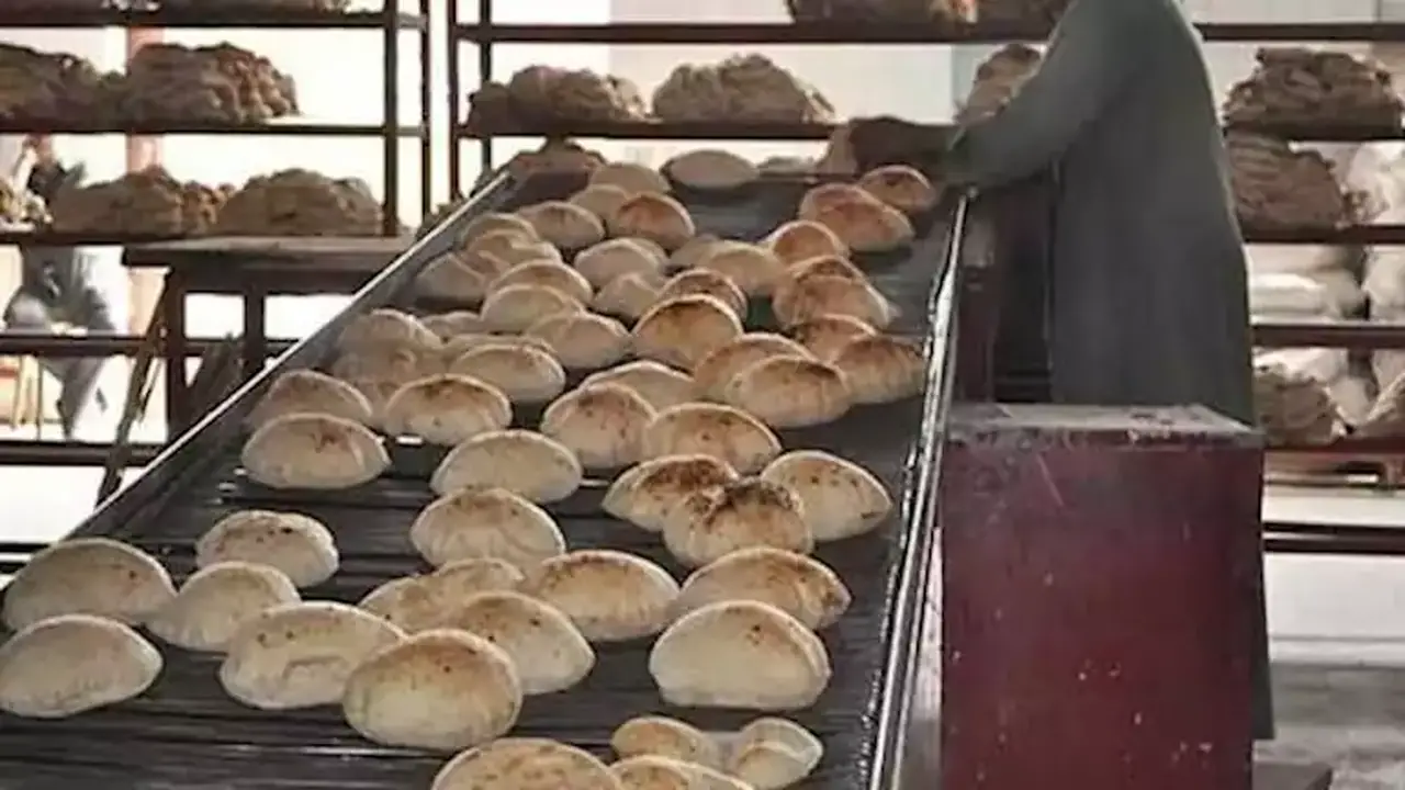 بدء تطبيق منظومة الخصم المباشر للخبز المدعم غدًا