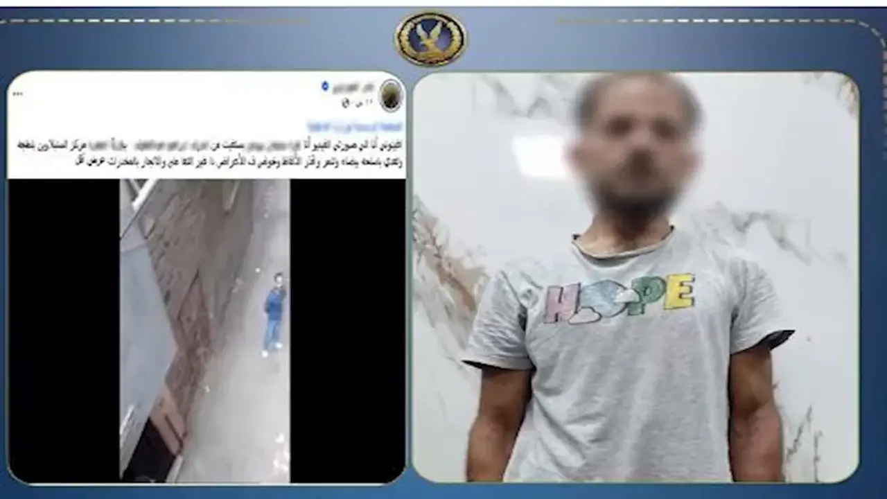 ربة منزل تختلق قصة عن تاجر مخدرات للانتقام من شقيق زوجها