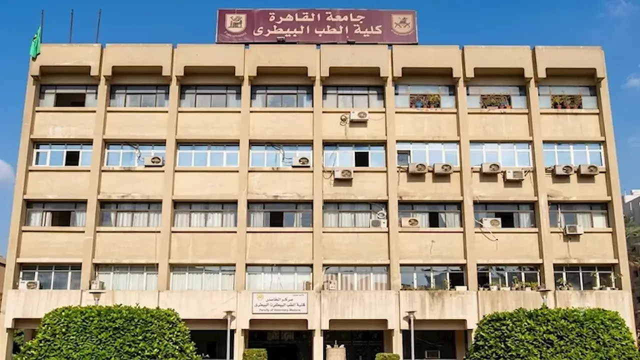 مؤشرات تنسيق كليات الطب البيطري 2026: الحد الأدنى لعام 2025