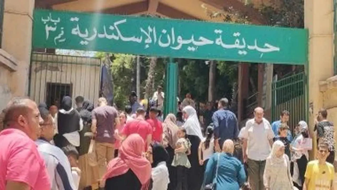من الملكية إلى الجمهورية: حكاية حديقة حيوان الإسكندرية التي شهدت التاريخ منذ 1926