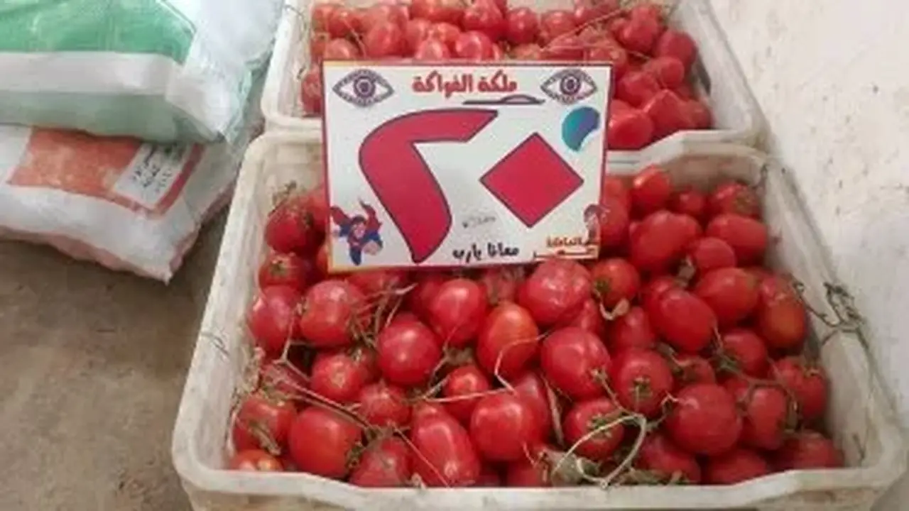 وزارة التموين تطرح الطماطم بسعر 20 جنيها للكيلو