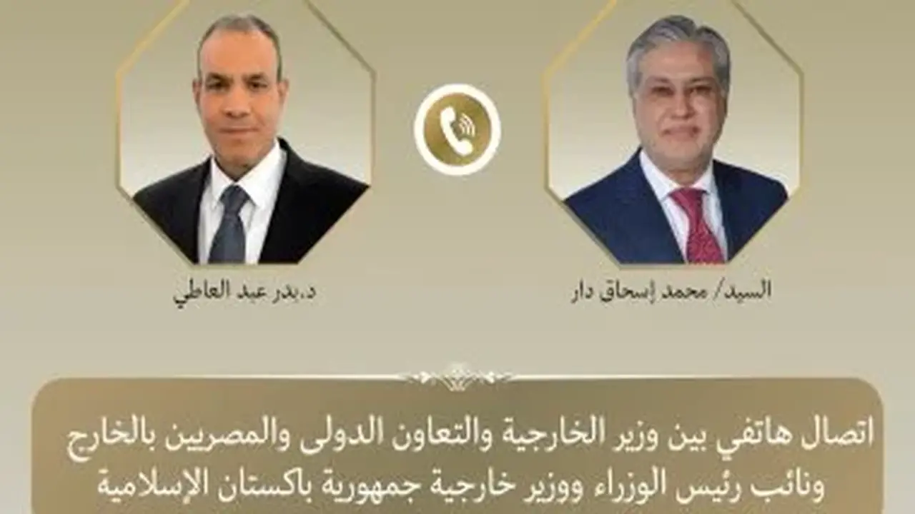 وزير الخارجية المصري يبحث التطورات الإقليمية مع وزير خارجية باكستان