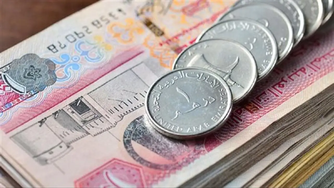 استقرار سعر الدرهم الإماراتي عند 13.94 جنيها في البنك المركزي اليوم السبت