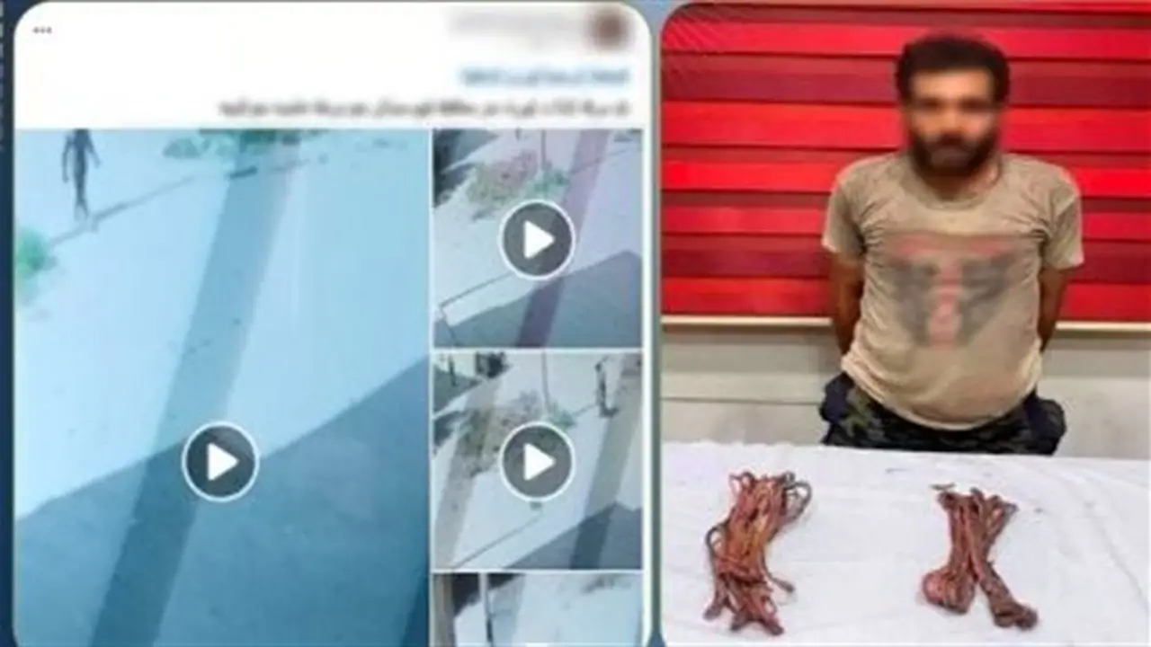 القبض على لص كابلات الكهرباء في الفيوم بعد محاولة سرقة أعمدة الإنارة