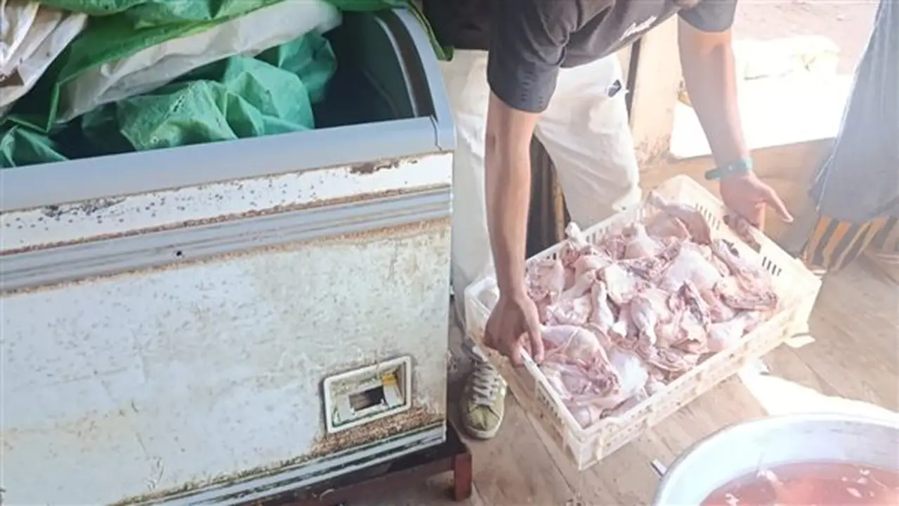 صحة القليوبية تضبط طنًا من أجزاء الدواجن مجهولة المصدر في مخزن غير مرخص