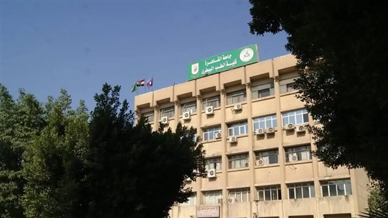 فتح باب التقديم للدراسات العليا بكلية الطب البيطري بجامعة القاهرة: البرامج المتاحة ومواعيد التسجيل