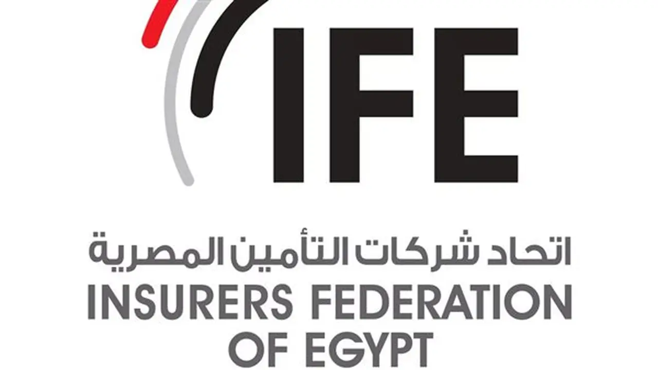 اتحاد شركات التأمين المصرية: جنوب أفريقيا نموذج رائد في الابتكار والنمو
