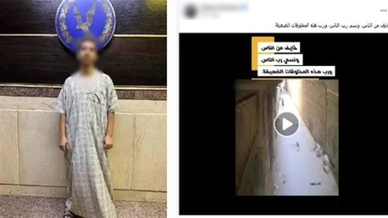 موظف في الجيزة يواجه الحبس بعد اعتداءه على كلب صغير أمام المارة