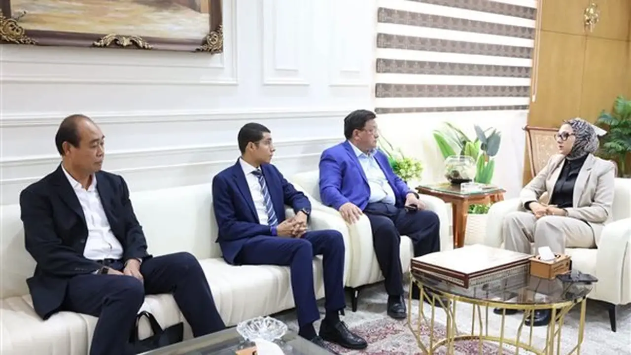 استثمارات صينية جديدة لاستصلاح وزراعة 1000 فدان في الوادي الجديد