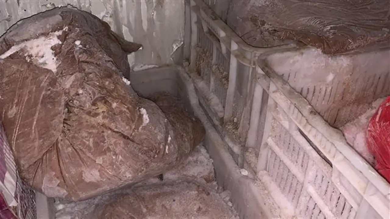 ضبط نصف طن من الآيس كريم الفاسد في الغربية خلال حملة رقابية (صور)