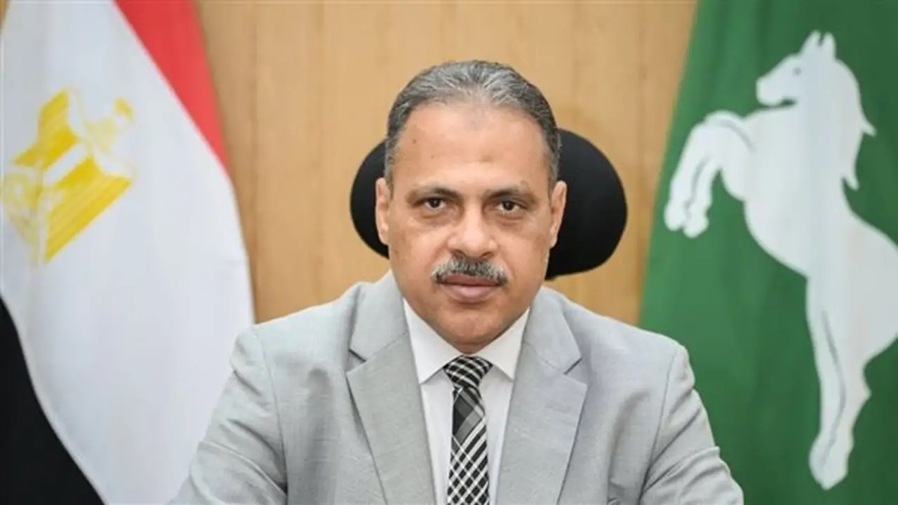 محافظ الشرقية يعلن انتهاء موسم توريد القمح وتصدر المحافظة المركز الأول على مستوى الجمهورية