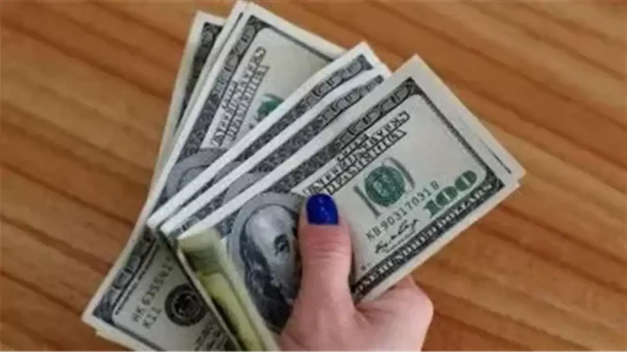 أسعار الدولار مقابل الجنيه المصري اليوم الثلاثاء 18 أغسطس 2026