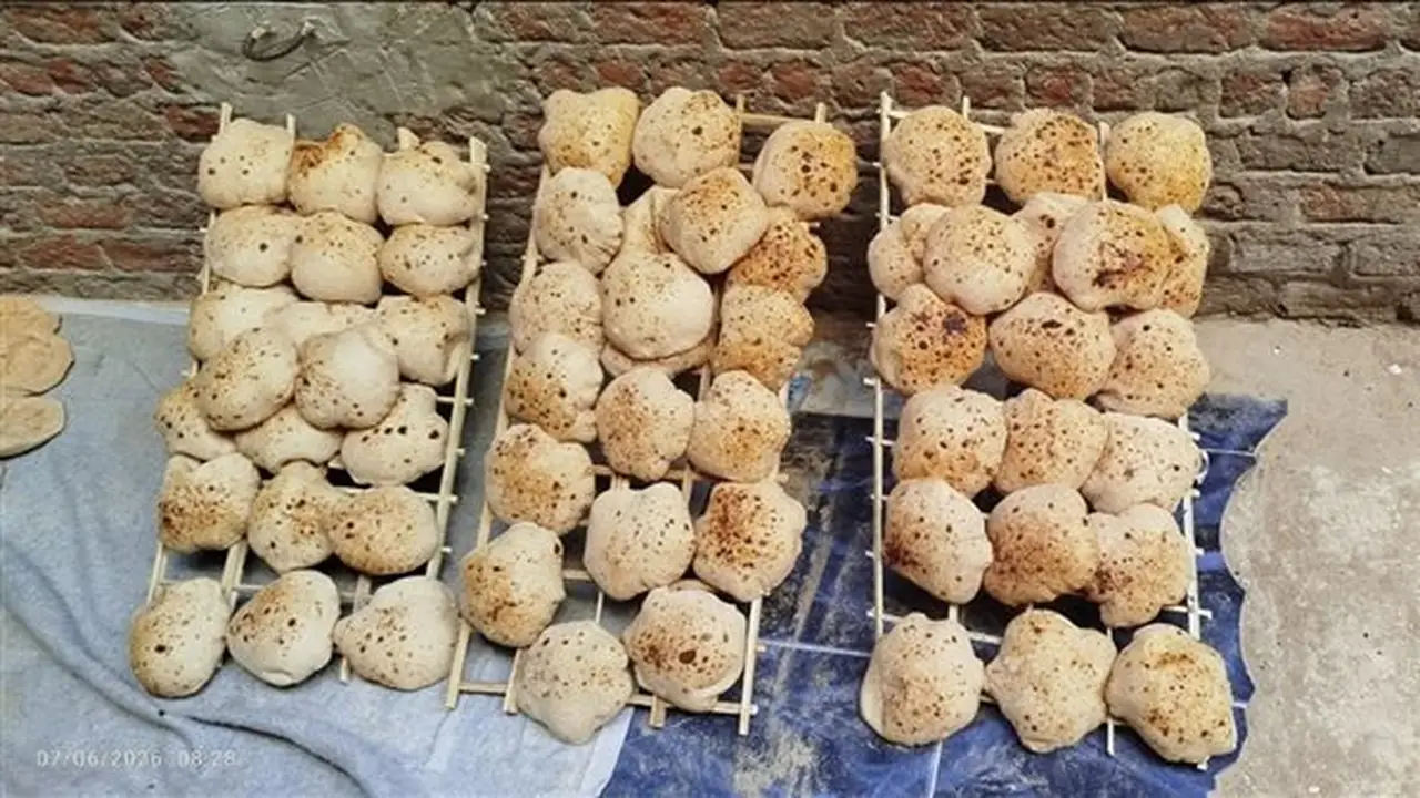 أخبار مصر: مطالب جديدة من المخابز بشأن الدعم والدقيق وتظلمات بقيمة 6330.. تفاصيل تنسيق المرحلة الثالثة ودرجات الحرارة غدًا