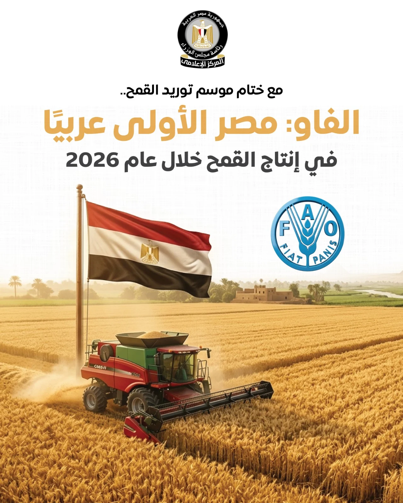 مجلس الوزراء: مصر الأولى عربيًا في إنتاج القمح خلال عام