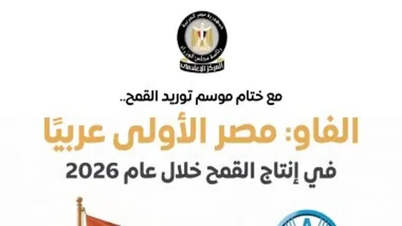 مجلس الوزراء: مصر تتصدر الدول العربية في إنتاج القمح عام 2026 وفق تقديرات الفاو