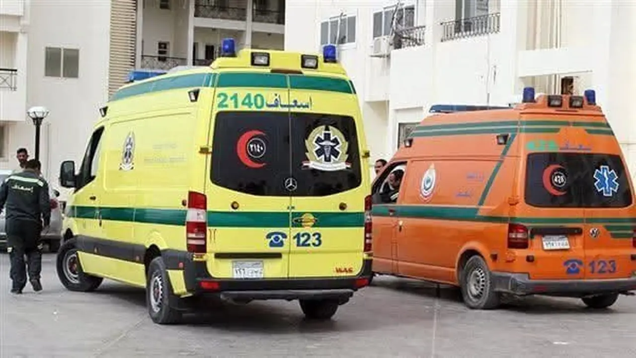 إصابة شخصين في حريق سيارة نقل بمركز المنصورة