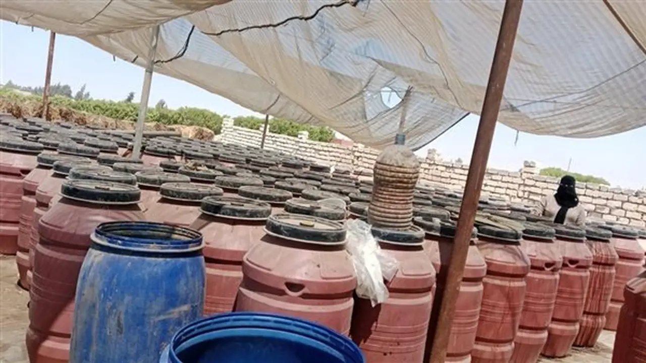 ضبط 30 طن من المخللات مجهولة المصدر في حملة تموينية بالإسماعيلية (صور)