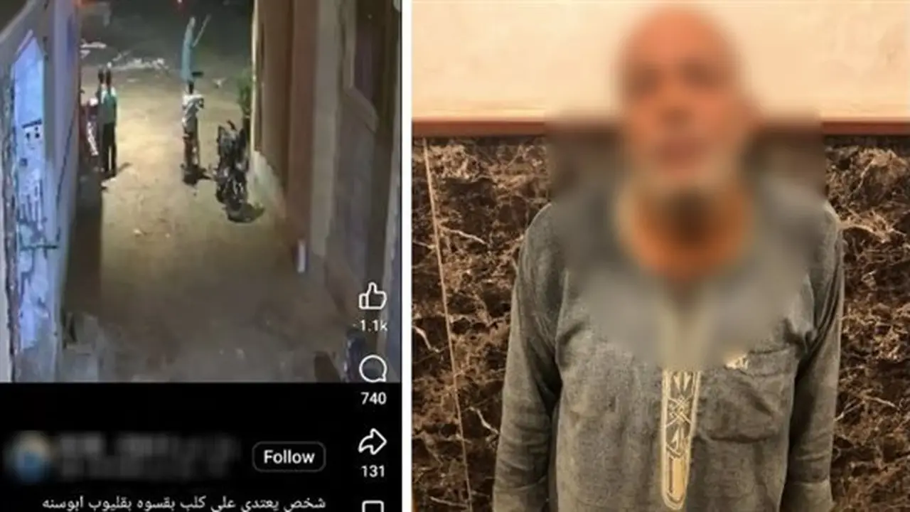 الداخلية تكشف تفاصيل وقائع متداولة تتراوح بين سرقة ‘تابلت’ واعتداء على كلب