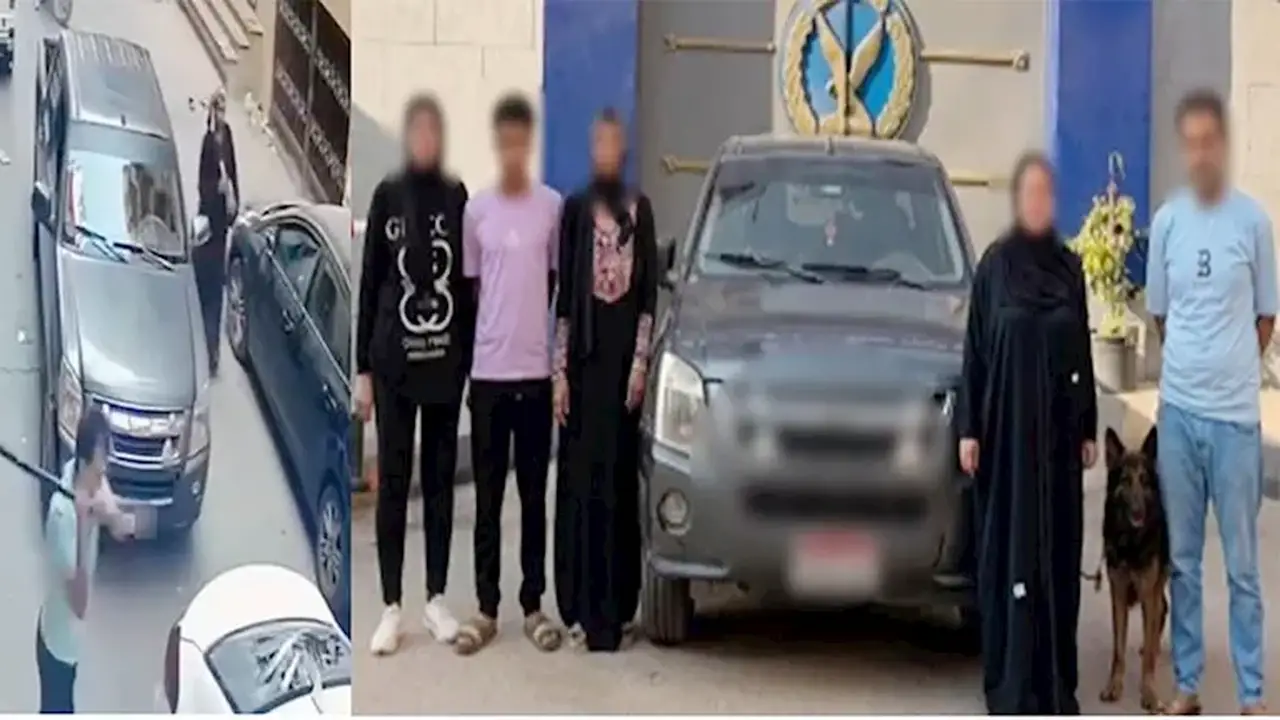 ضبط المتهمين بتحطيم السيارات في بنها بمساعدة كلب شرس