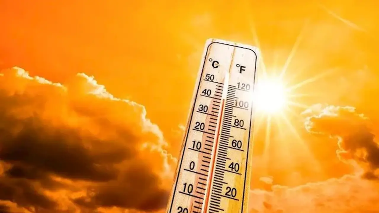 الأرصاد الجوية تكشف عن موعد ذروة الموجة شديدة الحرارة وتحذر من خطر الإجهاد الحراري