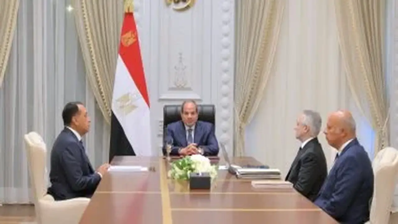 الرئيس السيسي يؤكد على ضرورة تسريع تنفيذ أحكام دعاوى النفقات