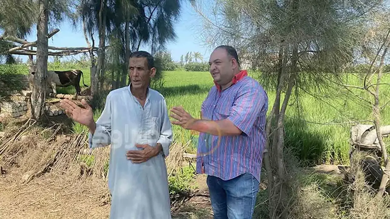 الفلاح الفصيح: كيف أسرت قصائد عم دسوقي قلوب أهالي كفر الشيخ؟ (فيديو وصور)