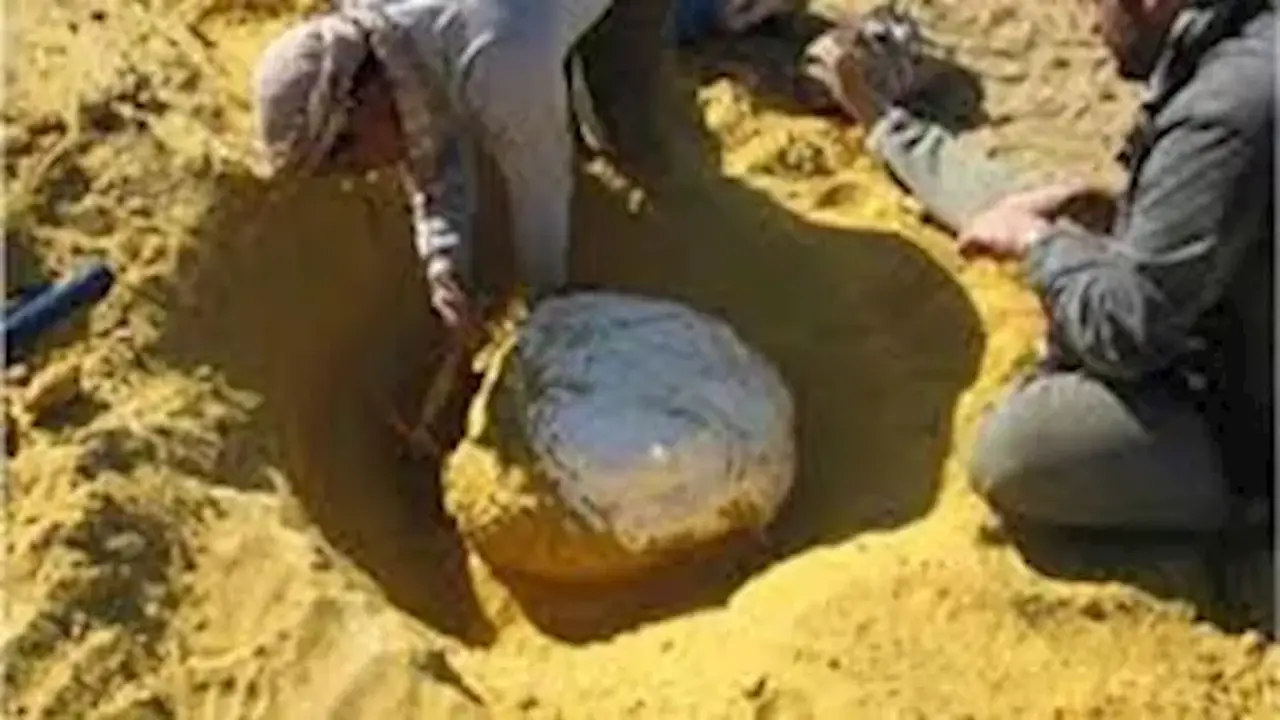 القوات المسلحة تطلق المرحلة الثانية لمواجهة التنقيب غير المشروع عن الذهب