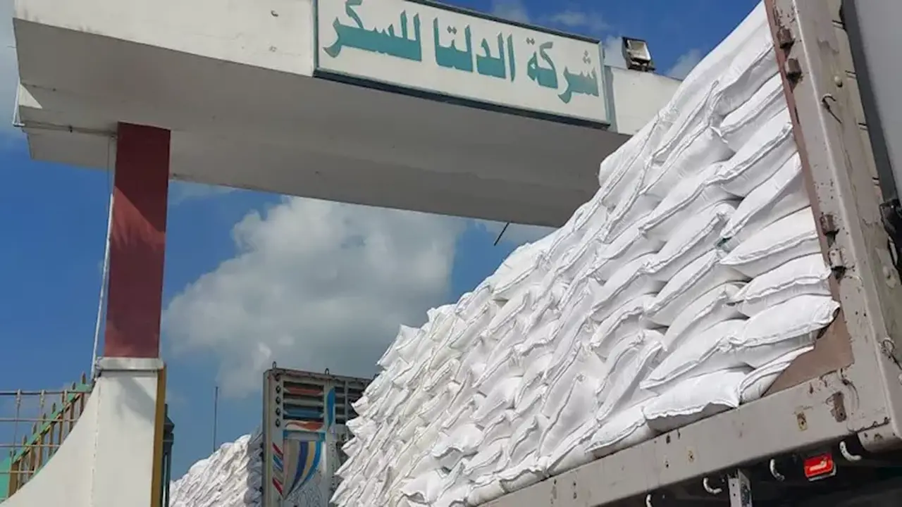 تصدير فائض السكر: خطوة إيجابية لحماية الصناعة المحلية دون تأثير على الأسعار