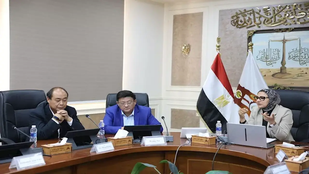 الوادي الجديد تستهدف جذب استثمارات صينية من خلال استصلاح 1000 فدان