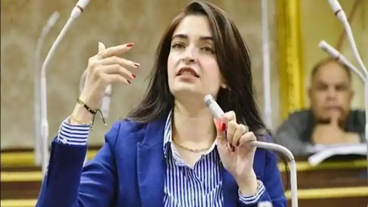 نائبة تسأل الحكومة عن أسباب زيادة أسعار الكهرباء وتأثيرها على المواطنين