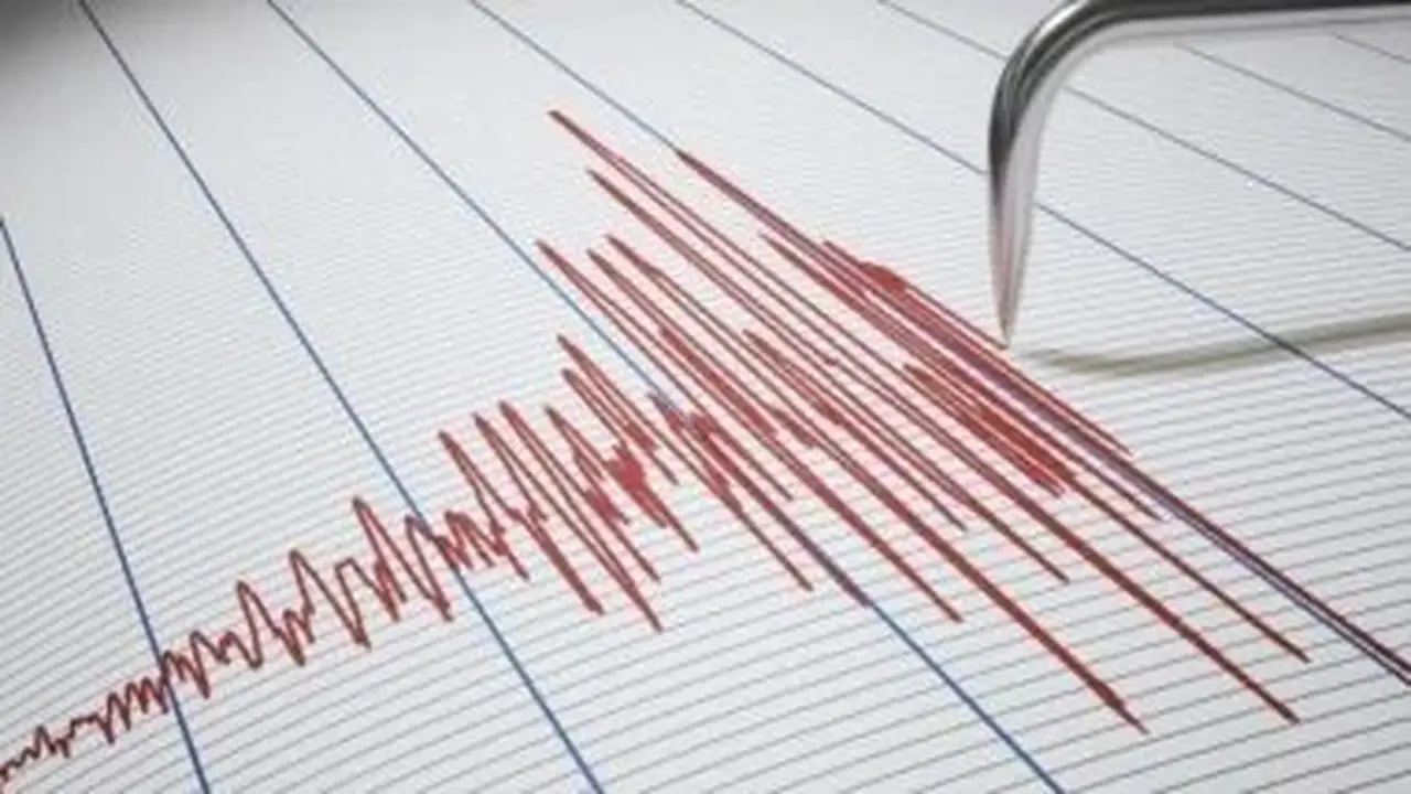 رئيس قسم الزلازل بمعهد الفلك يكشف أسباب زلزال خليج السويس وتحرك الصدع النشط