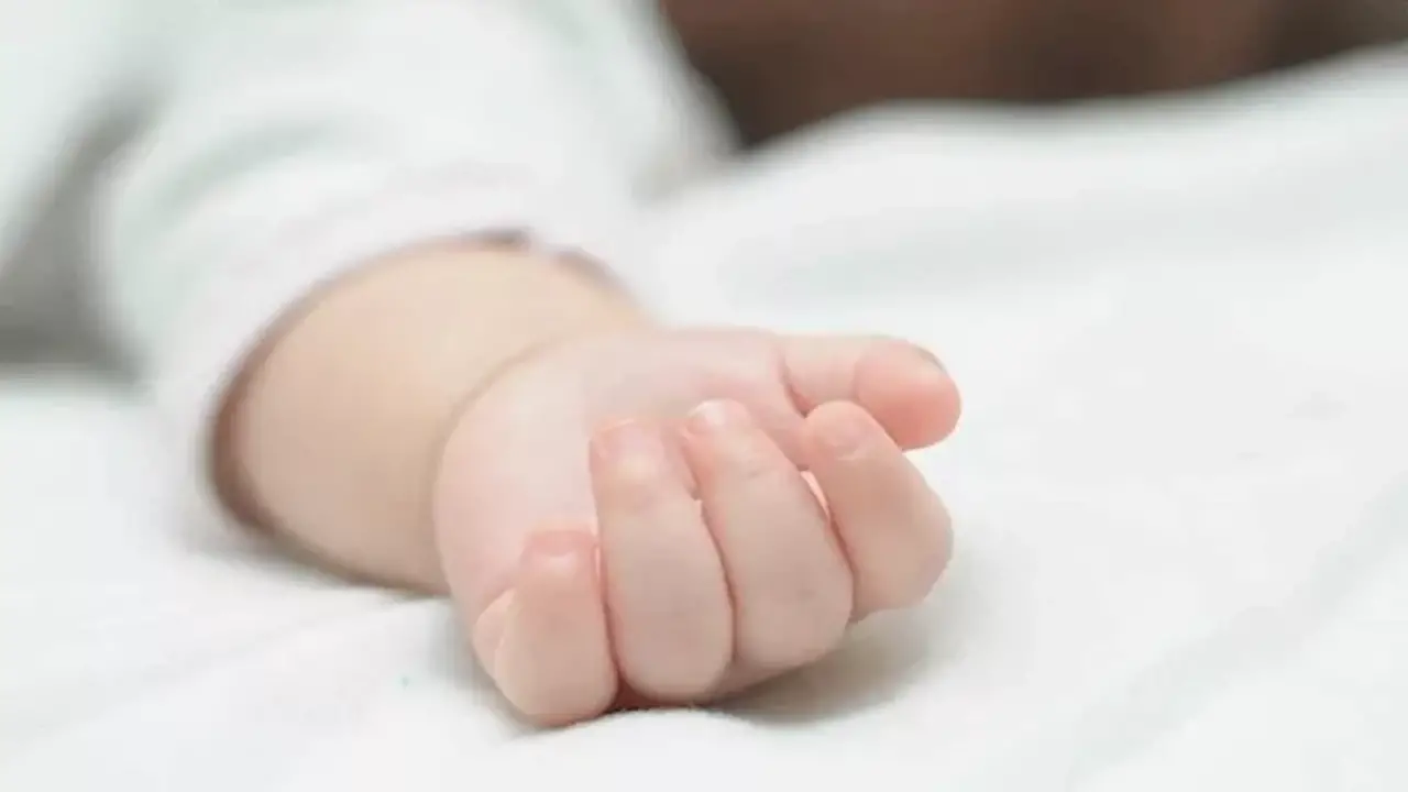 جدة تتخلص من حفيدها الرضيع وتدفنه في أرض زراعية بكفر الشيخ