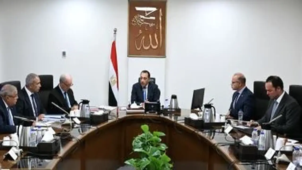 رئيس الوزراء يبحث مقترحات نقل ملكية شركات قابضة تابعة لقطاع الأعمال العام