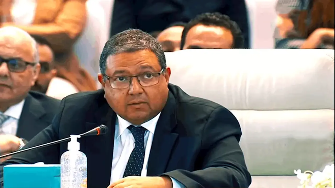 زياد بهاء الدين: رفع أسعار الكهرباء غير موفق والتوقيت والإعلان غير مناسب