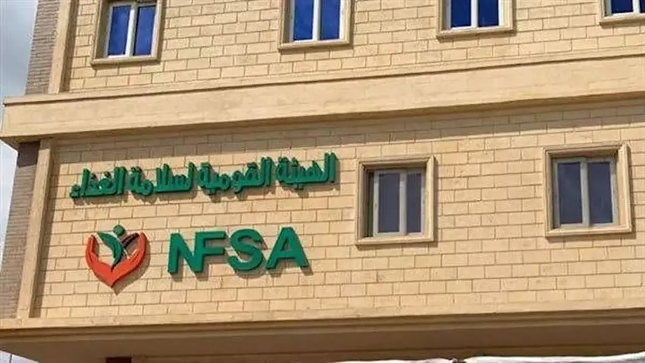 الهيئة القومية لسلامة الغذاء تضبط 91 طنًا من الدواجن الفاسدة في الإسماعيلية