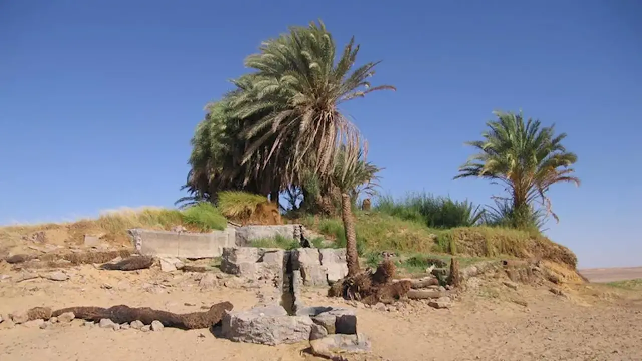 عزيب الحفر: واحة تاريخية تحتضن أسرار الصحراء البيضاء