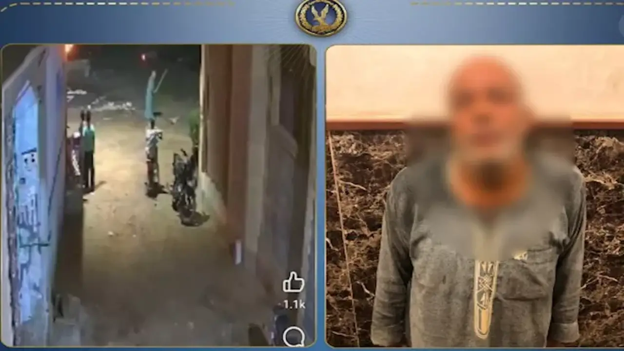 خفير في قليوب يعتدي على كلب انتقامًا من عقر زوجته