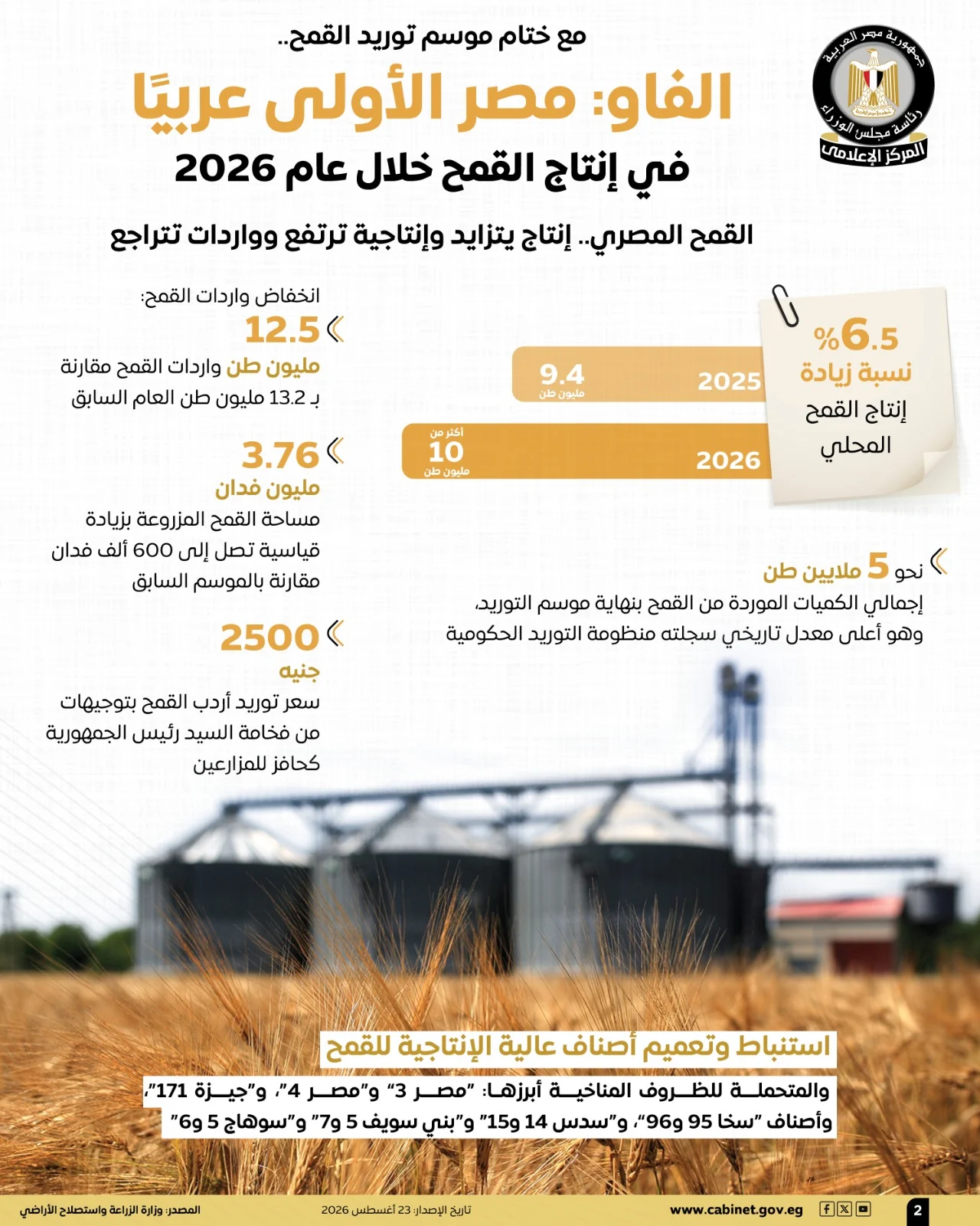مجلس الوزراء: مصر الأولى عربيًا في إنتاج القمح خلال عام