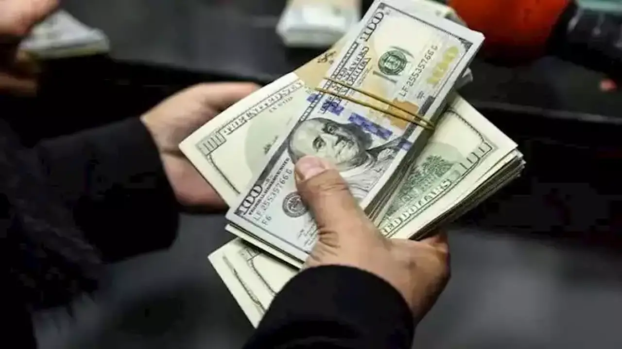 مبادرة “معاشك بالدولار”: تفاصيل جديدة للمصريين في الخارج