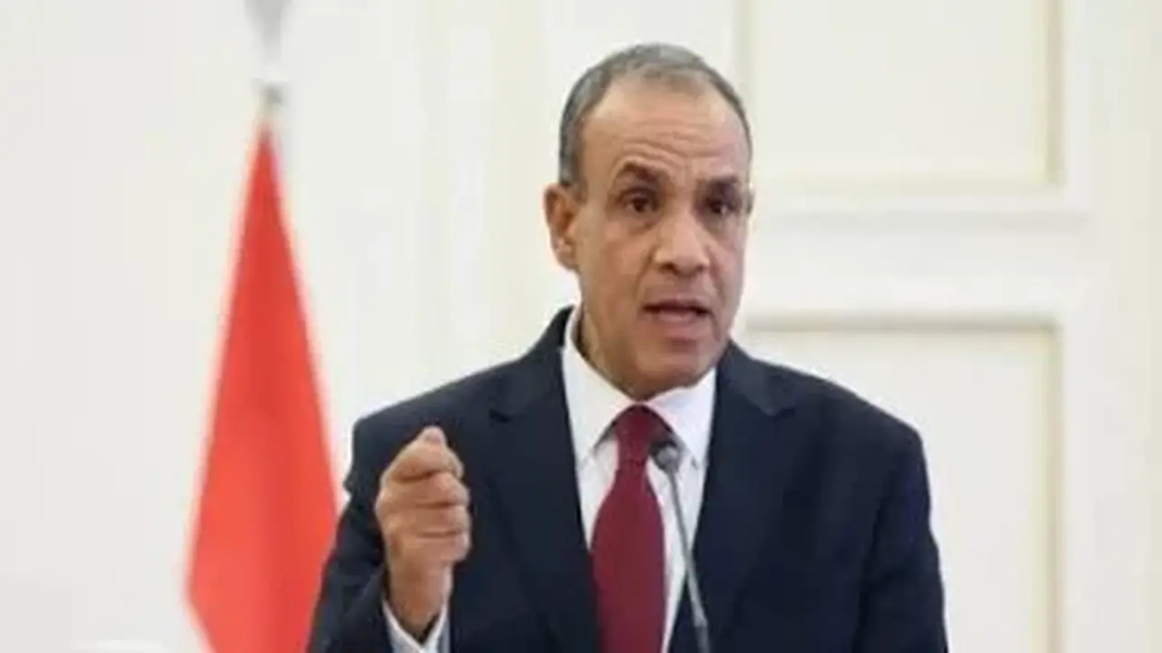 وزير الخارجية يدعو المصريين بالخارج لتوحيد الجهود تحت سقف واحد